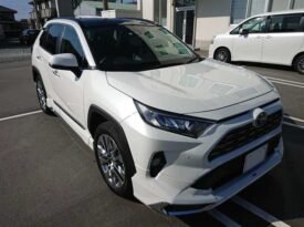 2019 Toyota RAV4 2.0 RHD