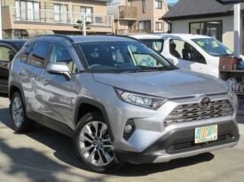 2019 Toyota RAV4 2.0 4WD RHD