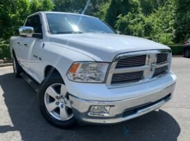 2010 Dodge Ram Pickup 1500